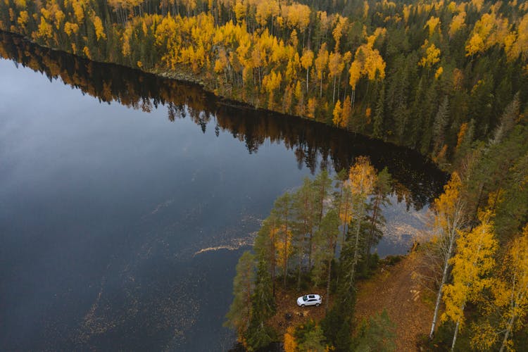 Car Parked Near The Lake In The Forest