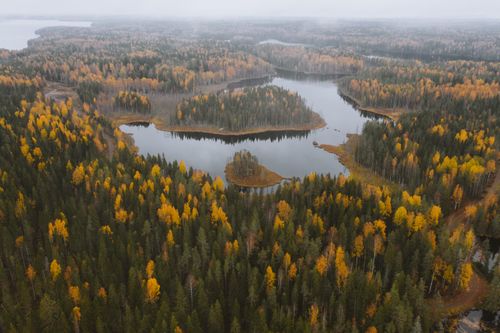 Free Aerial view of a foggy autumn forest surrounding a serene lake in Karelia, Russia. Stock Photo