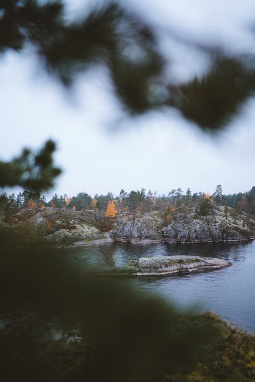 Scenic View of the Rocky Shore