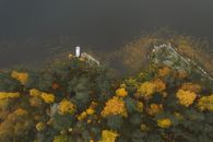 White Duck on Body of Water Near Green and Yellow Trees