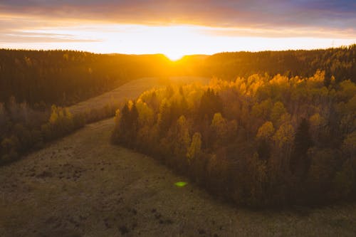 Základová fotografie zdarma na téma atmosfera de outono, fotografie z dronu, krásná příroda