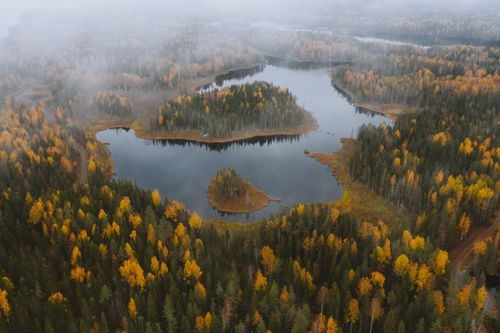 Free A stunning aerial view of a lake surrounded by vibrant autumn forests in Karelia, Russia. Stock Photo