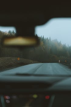 View from inside a car driving on a foggy countryside road lined with trees.