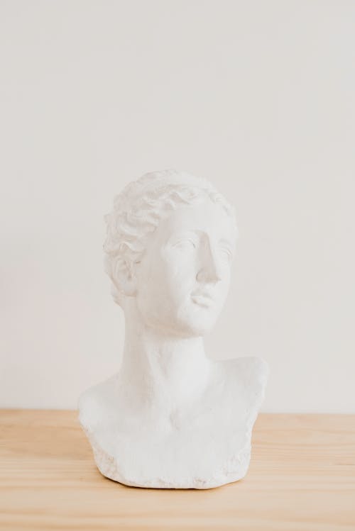 Close-up Photo of a Head Bust 