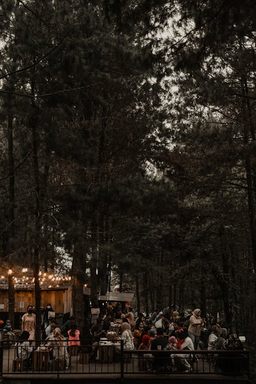 Fotobanka s bezplatnými fotkami na tému kaviareň, príroda, prírodná kaviareň