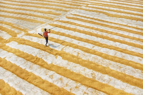 Aerial Footage of Farmer plowing Grains 