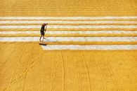 Person Walking on Brown Sand