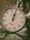timer