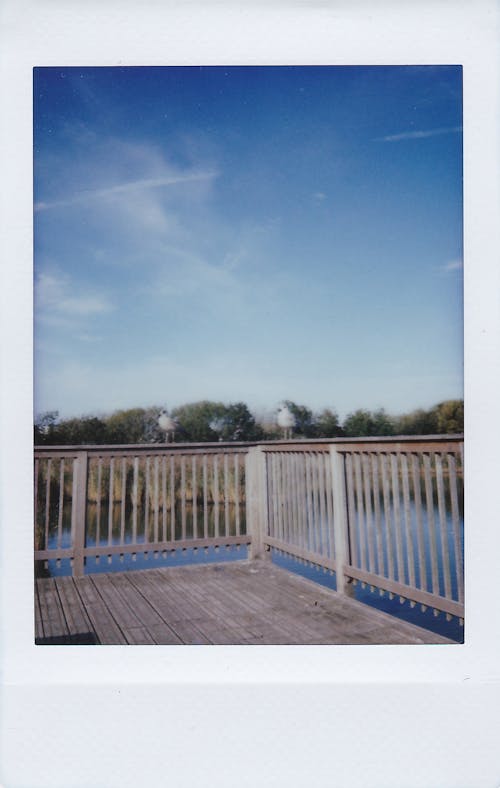 Close-up Photo of a Polaroid Photo