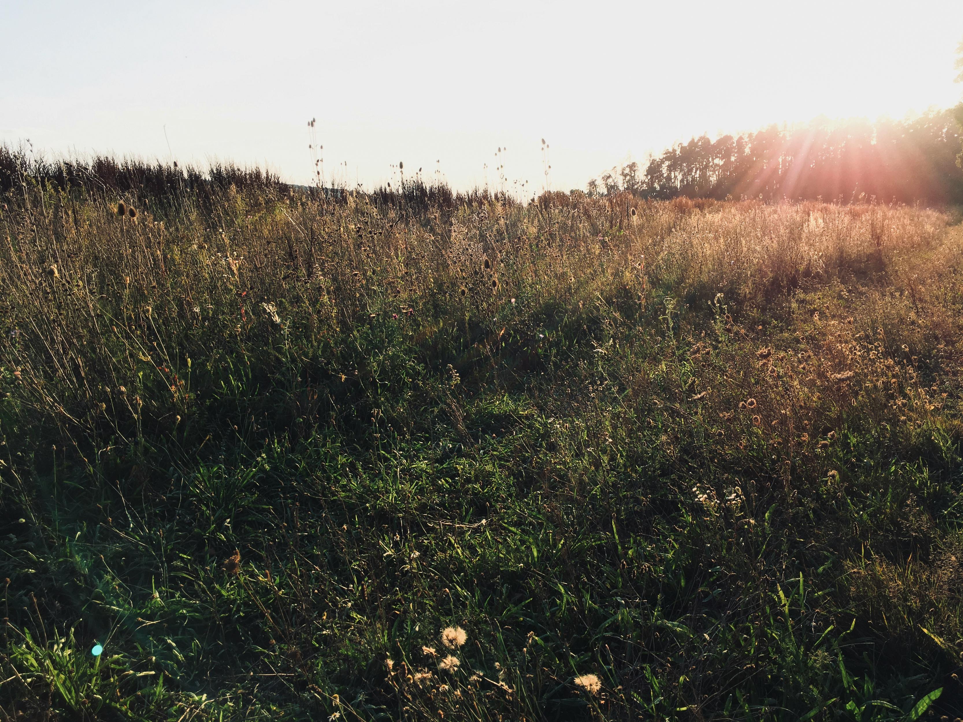 Person journaling with a cup of coffee and calendar