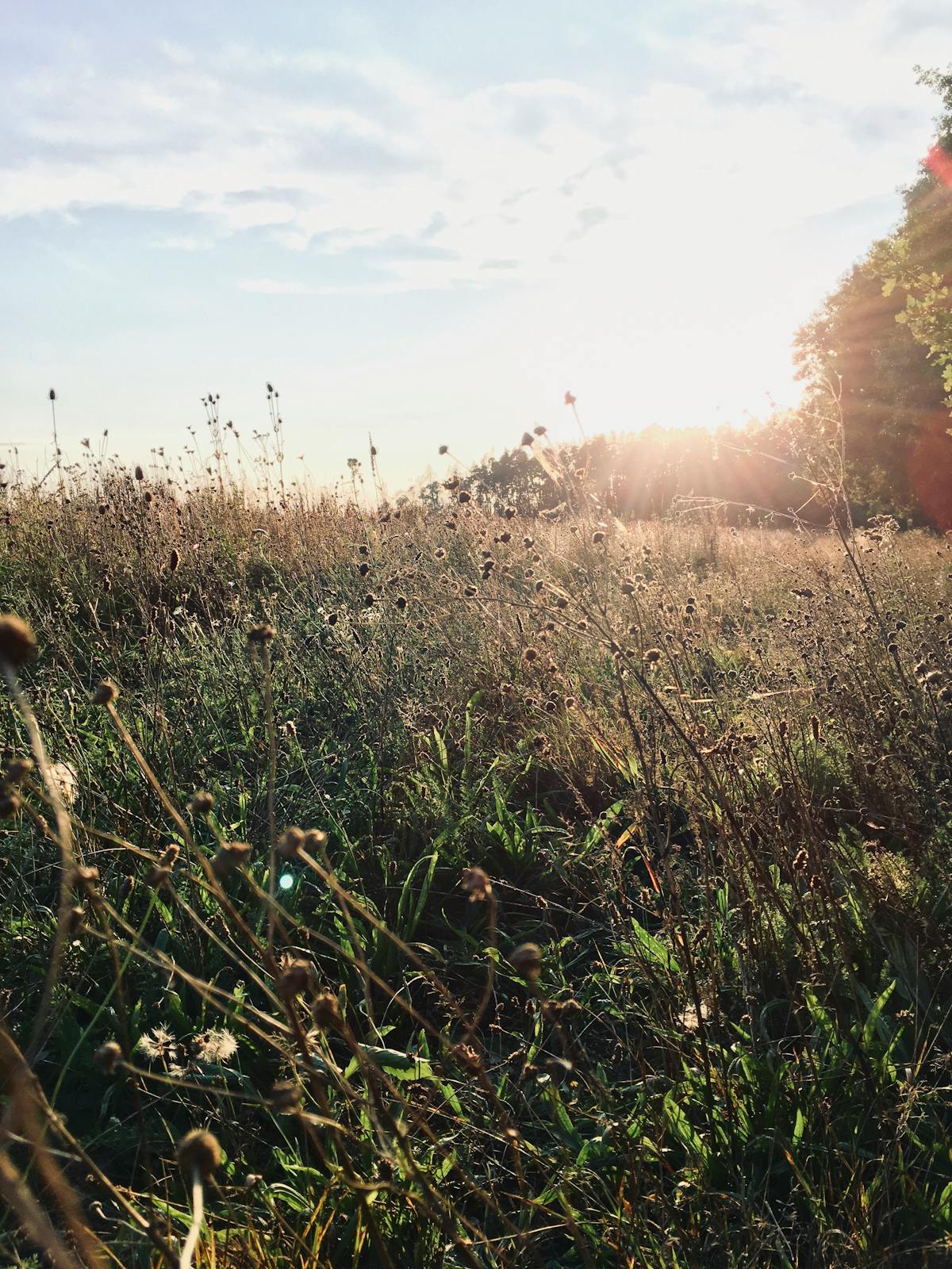 川普揭露鐵穹防禦系統美國技術根源:美以軍事合作如何重塑2026全球防禦格局? 川普揭露鐵穹防禦系統美國技術根源:美以軍事合作如何重塑2026全球防禦格局?