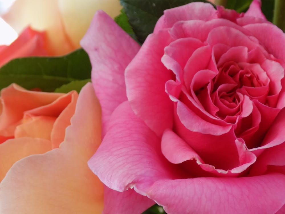 2025年AI如何被恐怖分子武器化?深度剖析恐怖主義利用人工智慧的全球威脅與反制策略 2025年AI如何被恐怖分子武器化?深度剖析恐怖主義利用人工智慧的全球威脅與反制策略