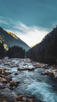 Amazing view of mountain stream rushing through rocks between green forested hills in mountainous terrain on clear day