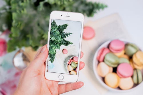 Free Mobile Photography of Macaroons and Fern Leaves  Stock Photo