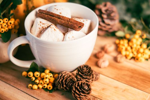 Free A cozy ceramic mug filled with marshmallows and cinnamon stick, surrounded by autumn decor. Stock Photo