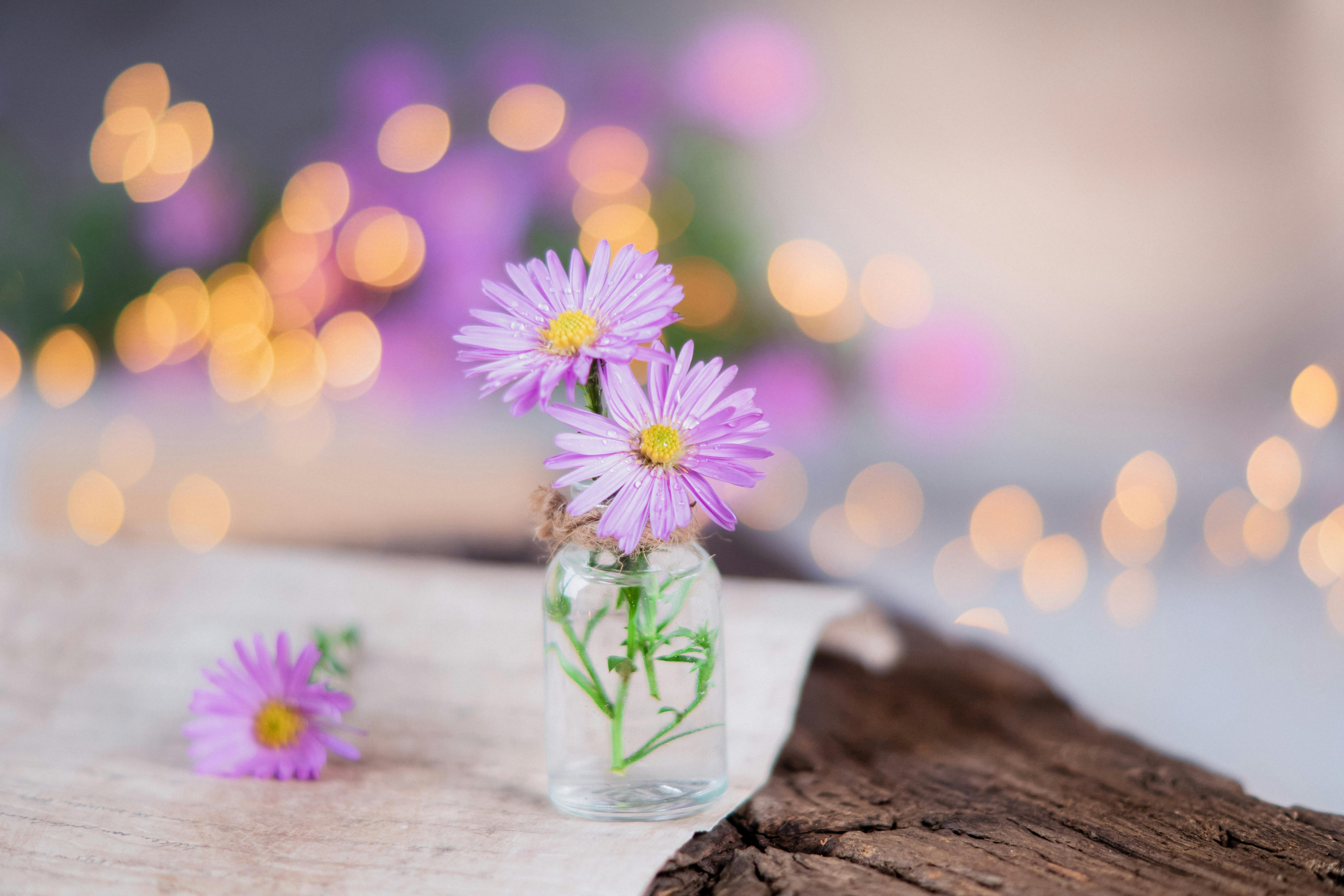 一个玻璃罐子里盛开着紫色花朵的特写，背景温和