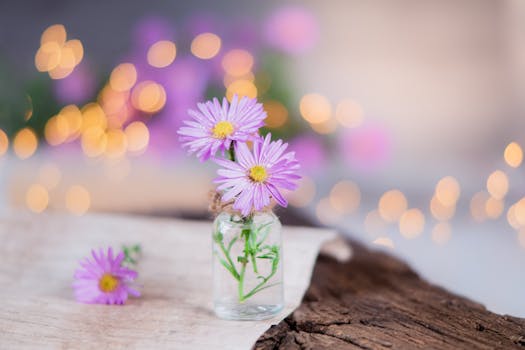 一个玻璃罐子里盛开着紫色花朵的特写，背景温和