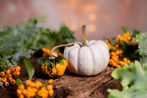 Free Decorative white and green pumpkins with foliage, ideal for fall themes. Stock Photo