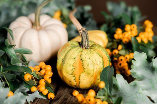 Free Vibrant autumn pumpkins and berries in a rustic arrangement, capturing the essence of fall harvest. Stock Photo