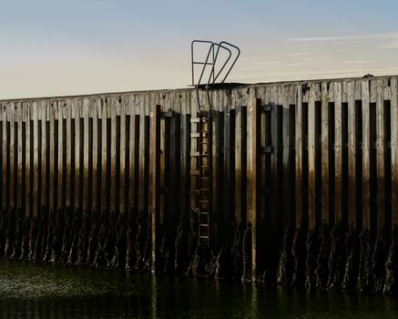 A Metal Ladder on a Wooden Fence