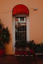 Green Potted Plant Beside White Window