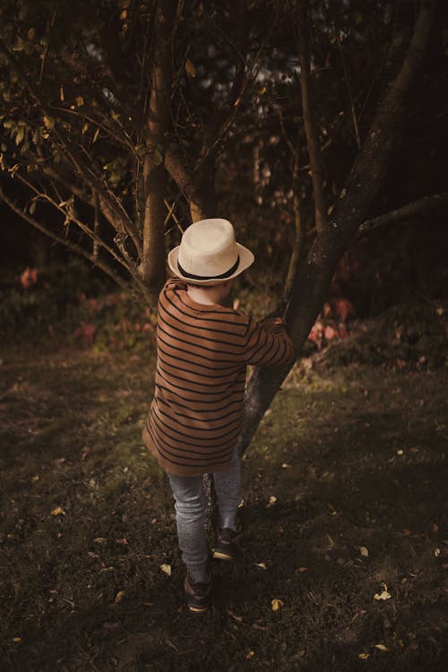 Free Back view full body stylish boy in hat climbing on green tree growing in garden on early autumn day Stock Photo
