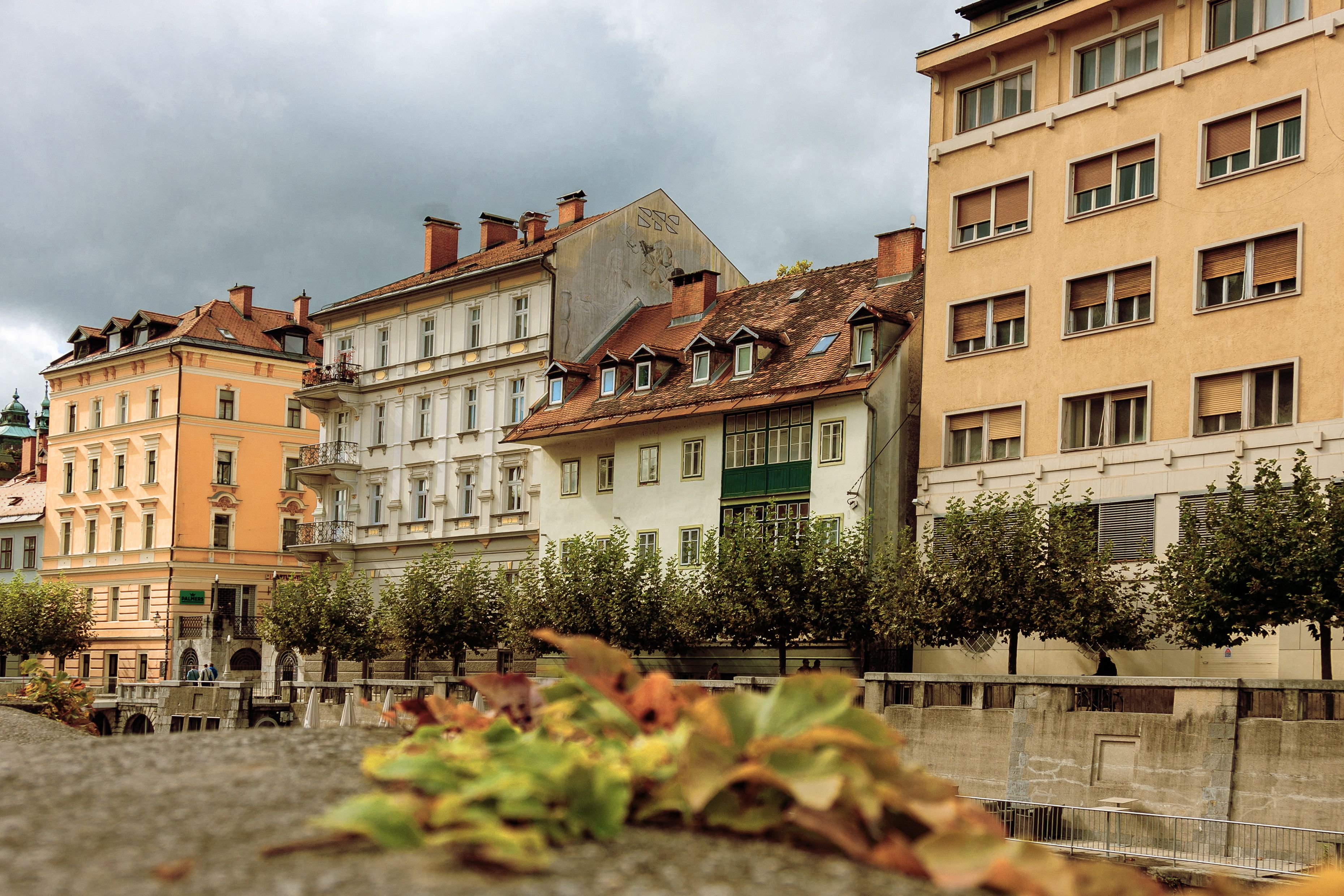 Ljubljana old town riverbank
