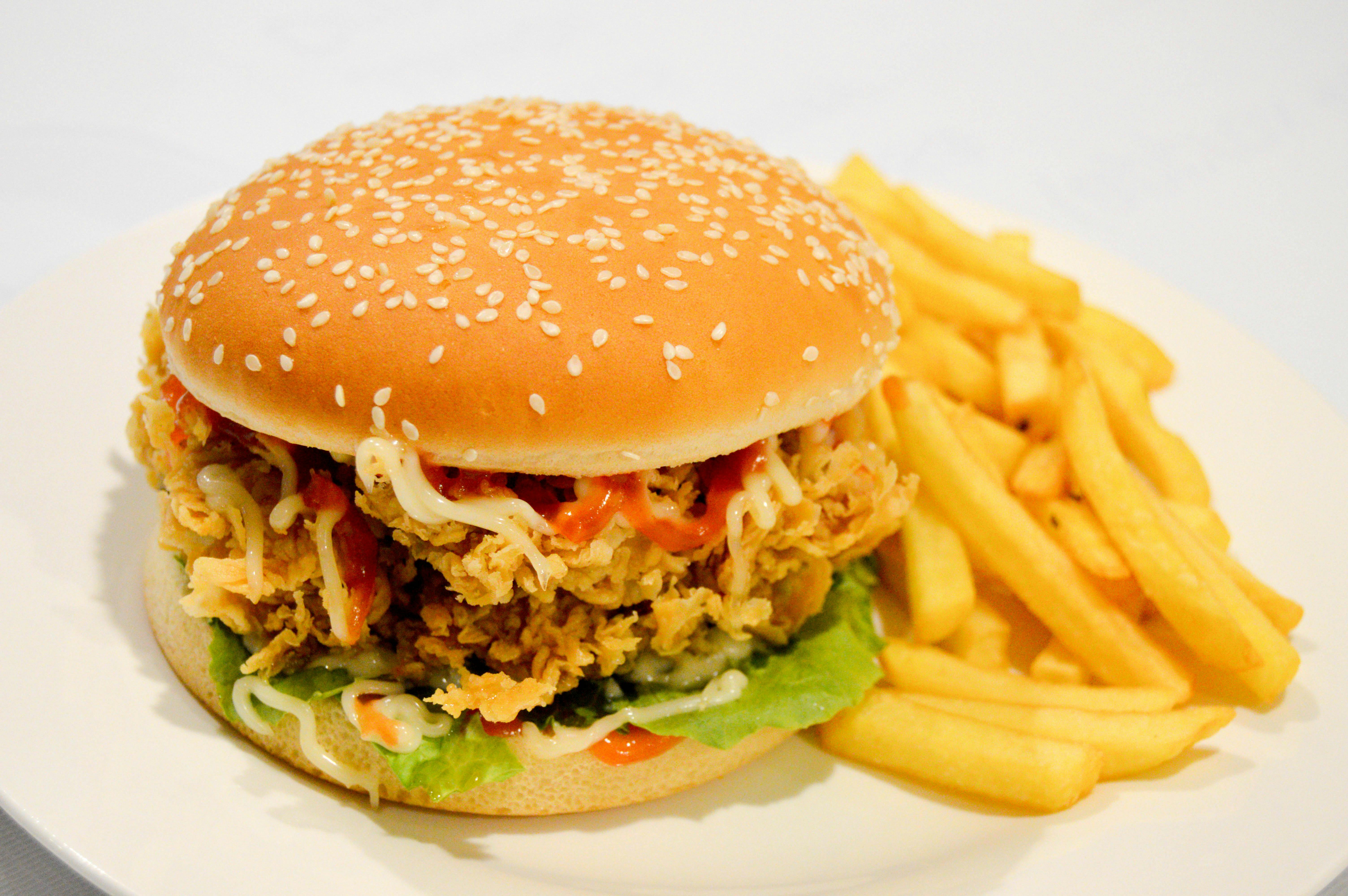 Free stock photo of burger, Burger Fries, chicken burger