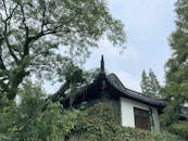 Roof of House Seen Through Trees