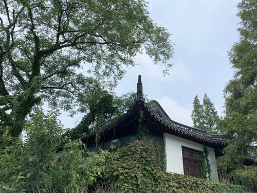 Free A serene view of traditional Chinese architecture amidst lush greenery, captured in Nanjing, China. Stock Photo