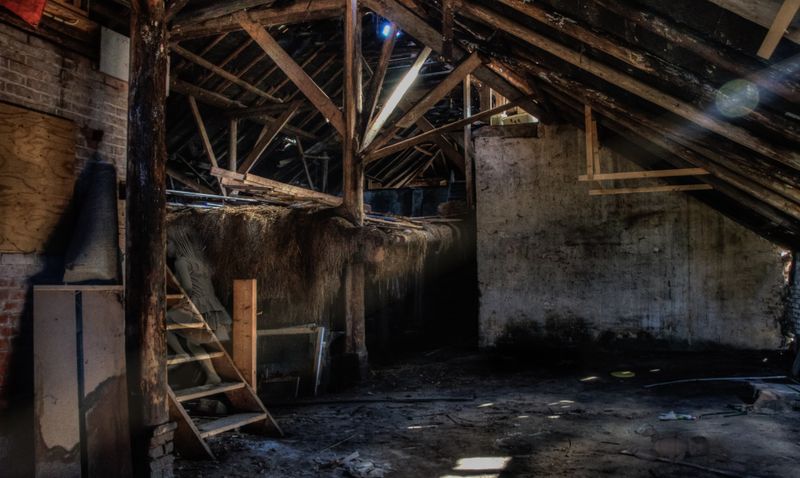Espace avec structure en bois rustique et lumière naturelle — traitement xylophages en Bourgogne-Franche-Comté
