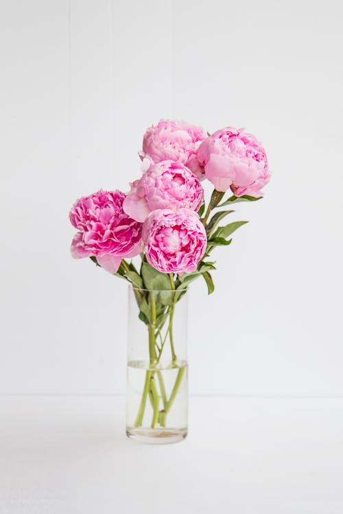 Pink Roses in Clear Glass Vase