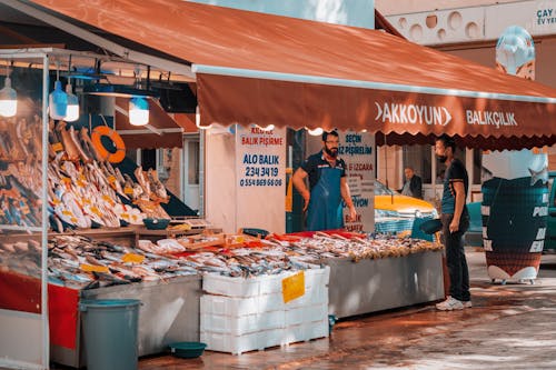 Foto profissional grátis de eskişehir, peru, pescador