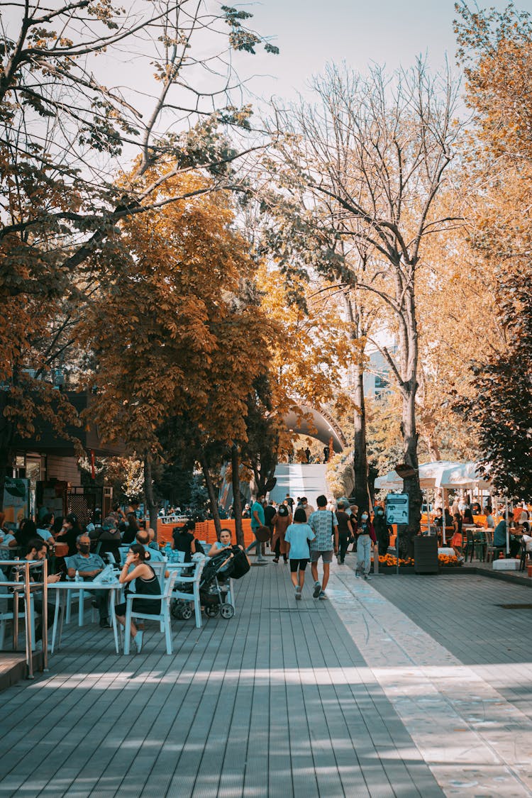 Alongside Street Outdoor Dining With Autumn Trees