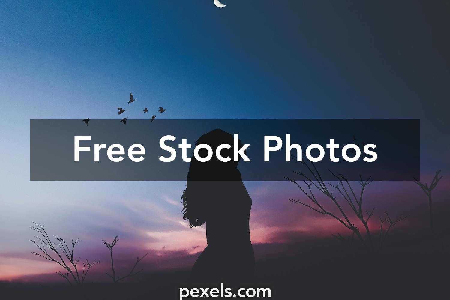 1000+ Engaging Clear. Hd Wallpaper Photos Pexels · Free Stock Photos