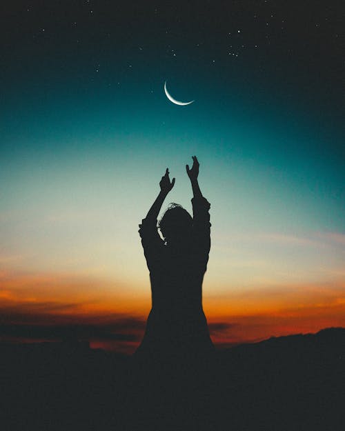 Adaptogens for Stress and Energy