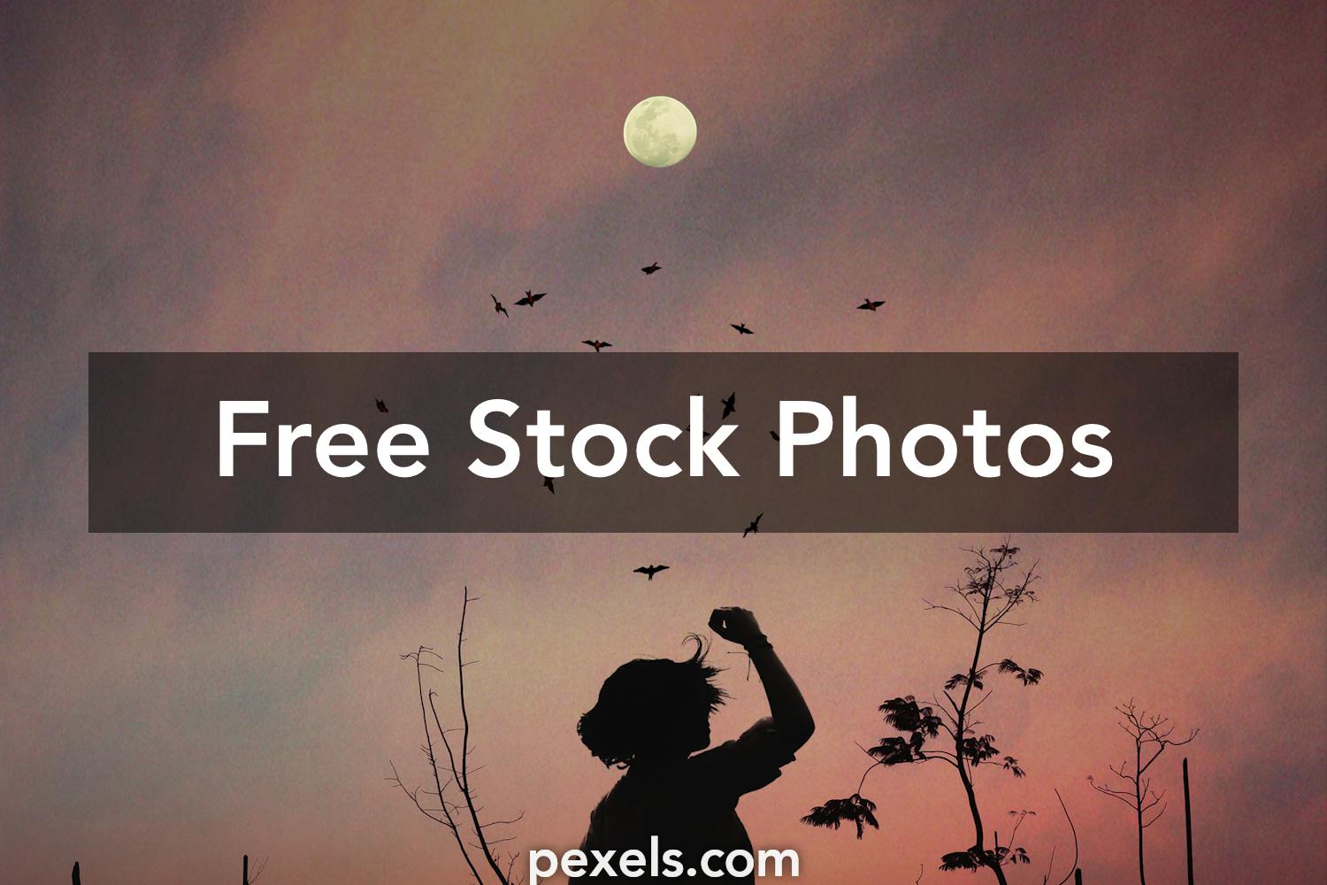 Birds With People Photos, Download The BEST Free Birds With People ...