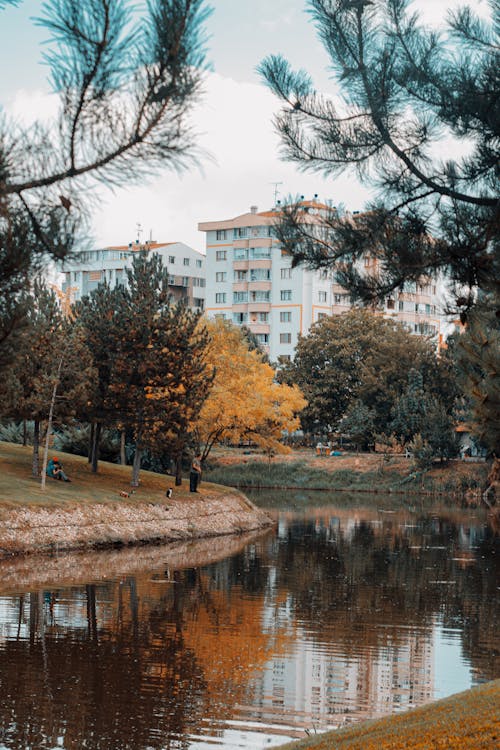 Foto profissional grátis de água, andando, eskişehir