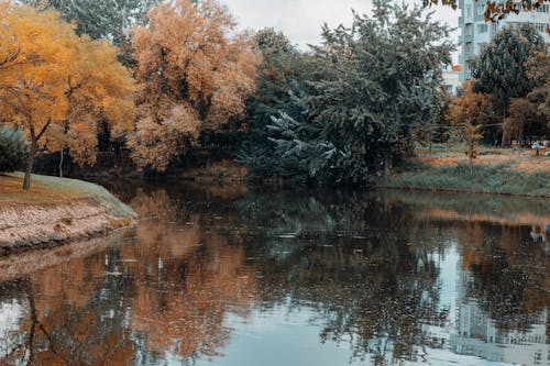 Foto profissional grátis de andando, eskişehir, floresta