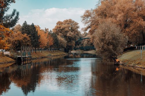 Free Captivating autumn scene with vibrant foliage and a tranquil river in Eskişehir, Turkey. Stock Photo