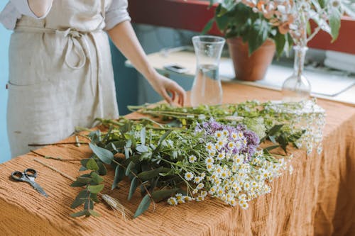 Imagine de stoc gratuită din aranjament floral, desen, fată