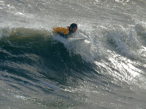 Free stock photo of surfing