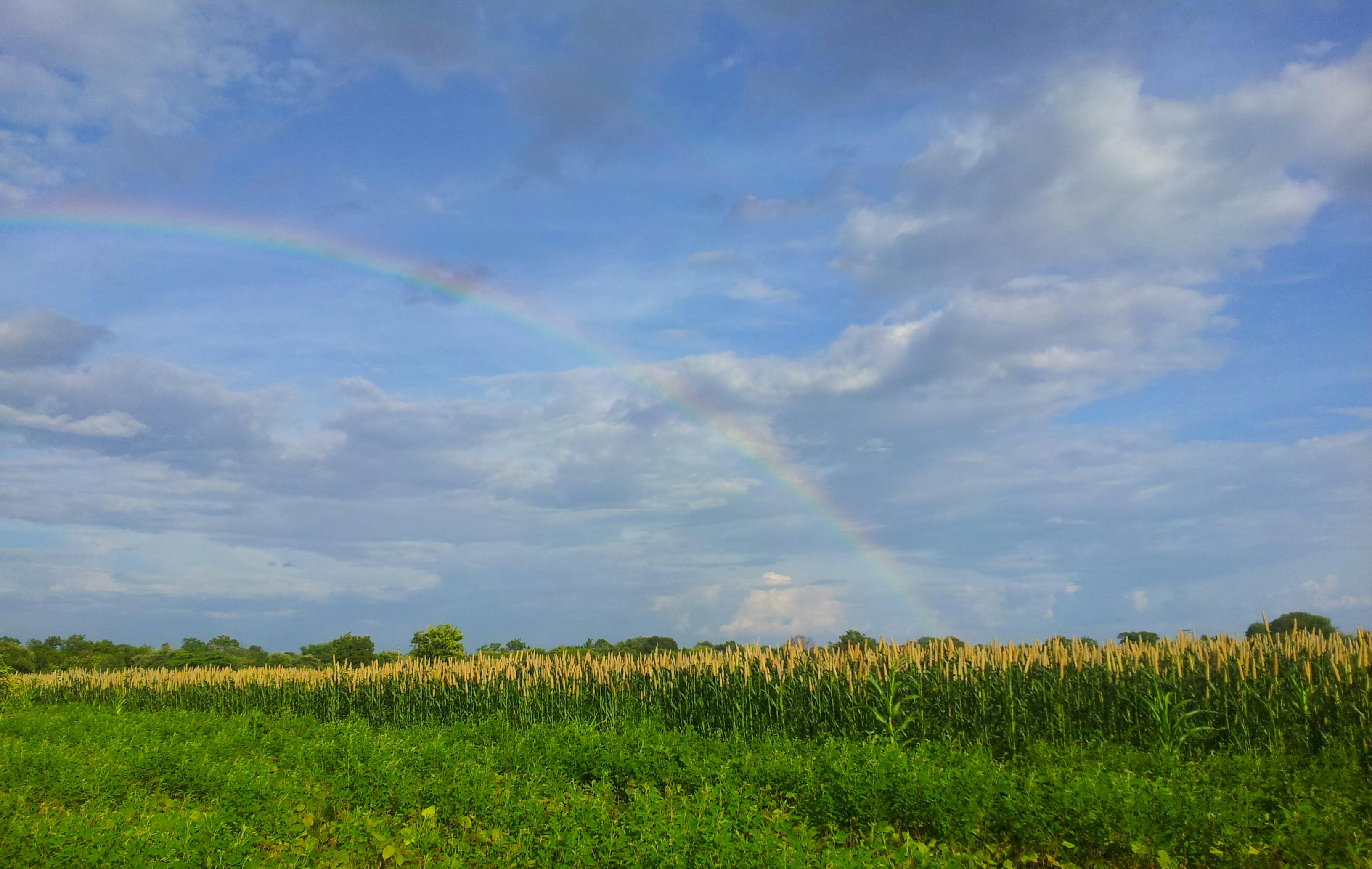 虹 青空の無料の写真素材 虹 青空の無料の写真素材