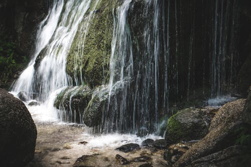 Foto d'estoc gratuïta de aigua, bosc, cascades