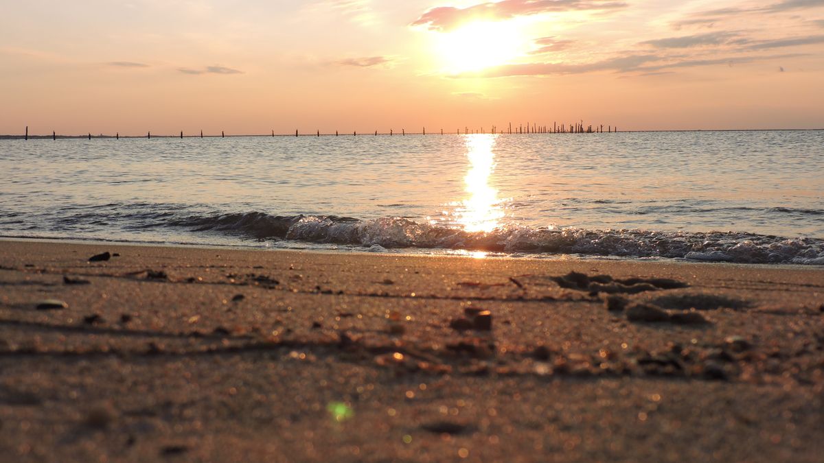 Top Virginia Beach, VA Beauty Giveaways With No Purchase Necessary: Safe Entry Guide