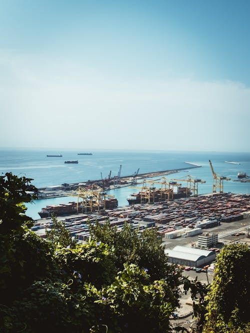 Aerial View of Cargo Ships at the Port