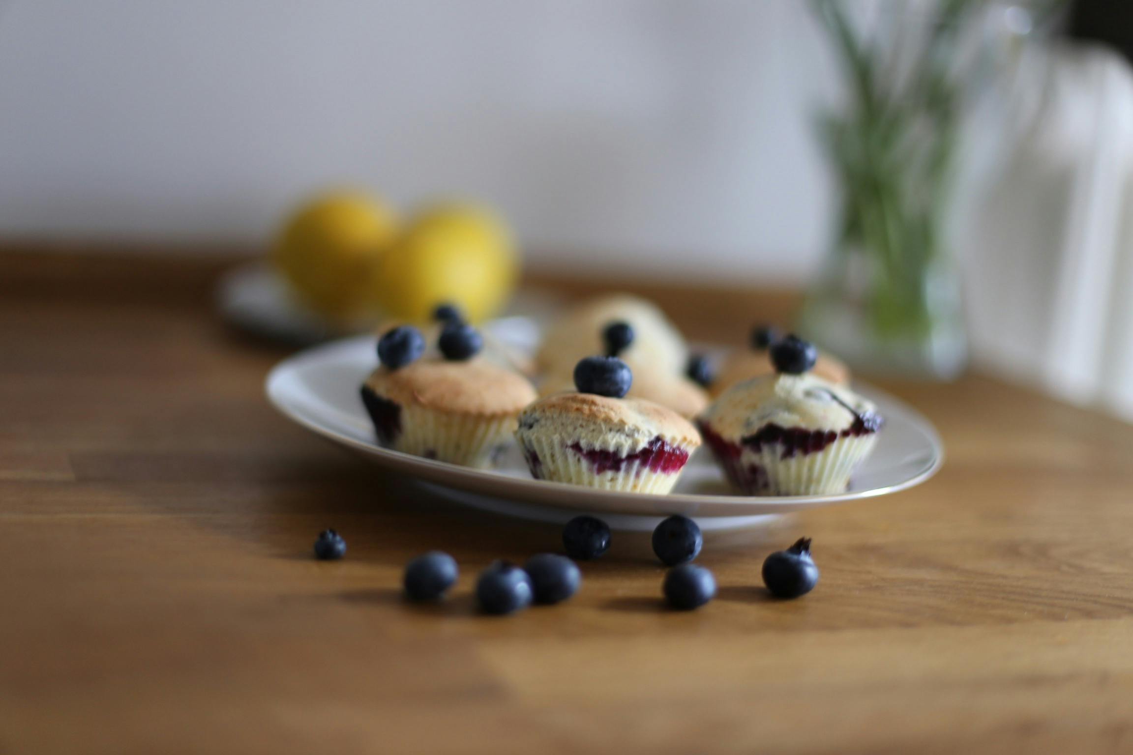 Free stock photo of blueberries, blueberry, blueberry muffins