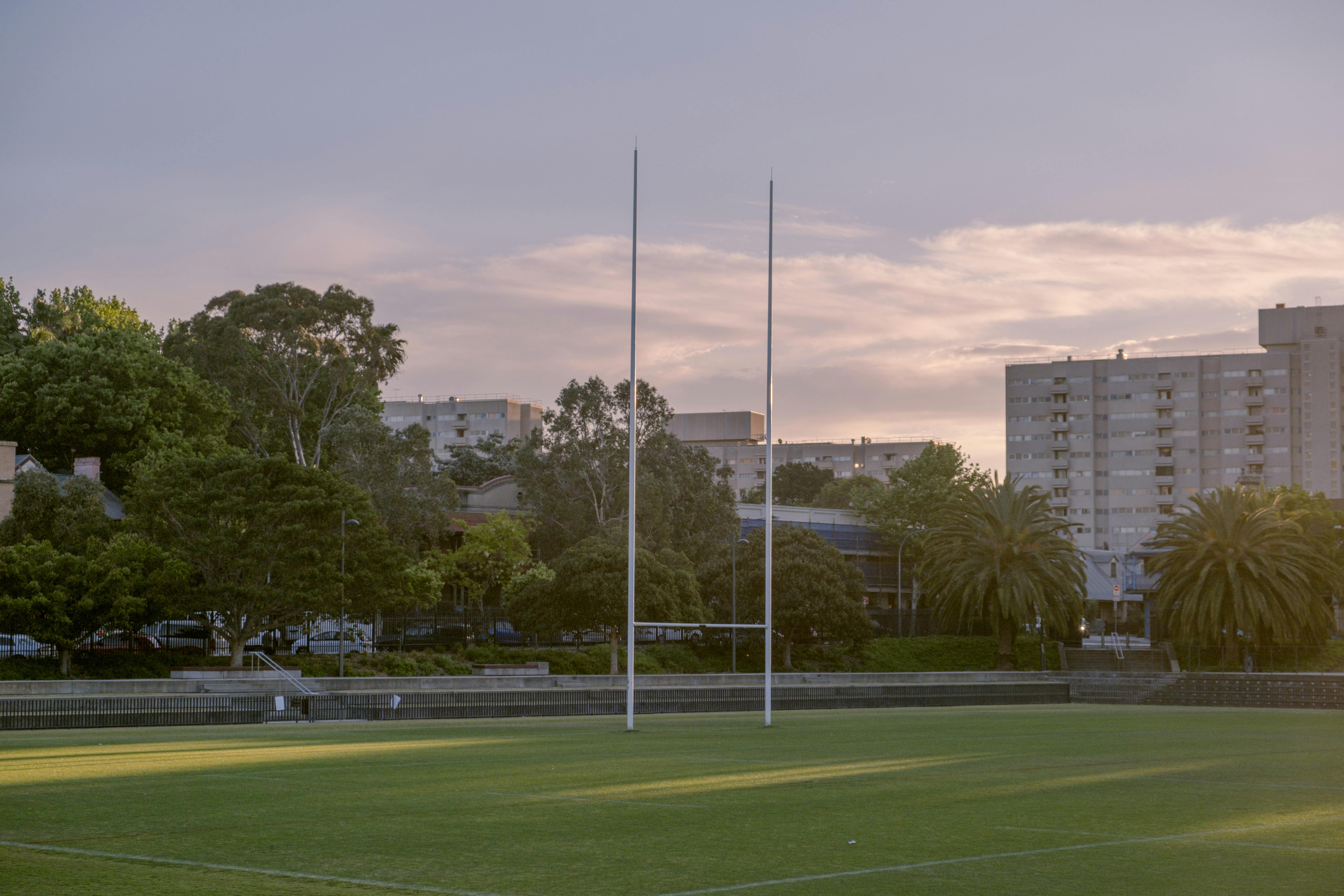 Empty sports field in Sydney with sunset sky and trees.