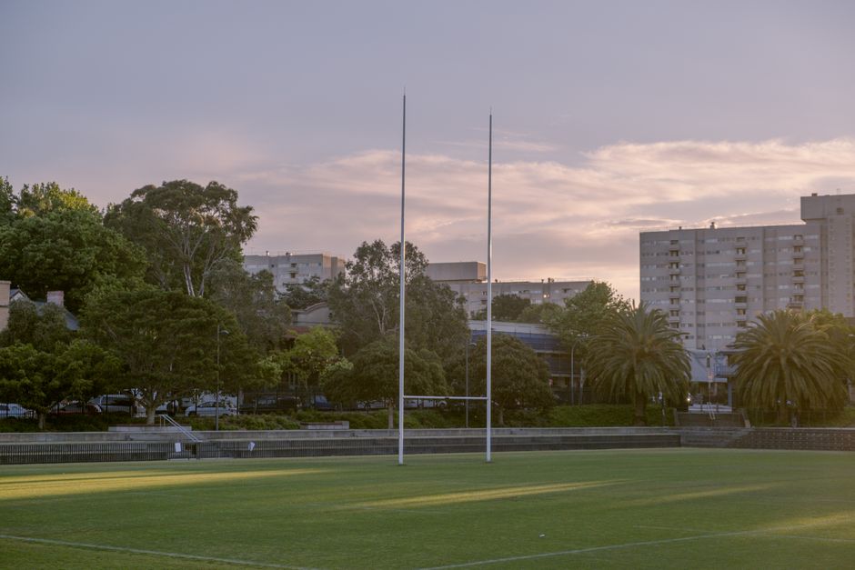 Empty sports field in Sydney with sunset sky and trees.