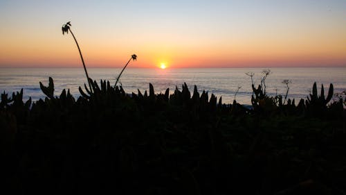 çim, gün batımı, okyanus içeren Ücretsiz stok fotoğraf